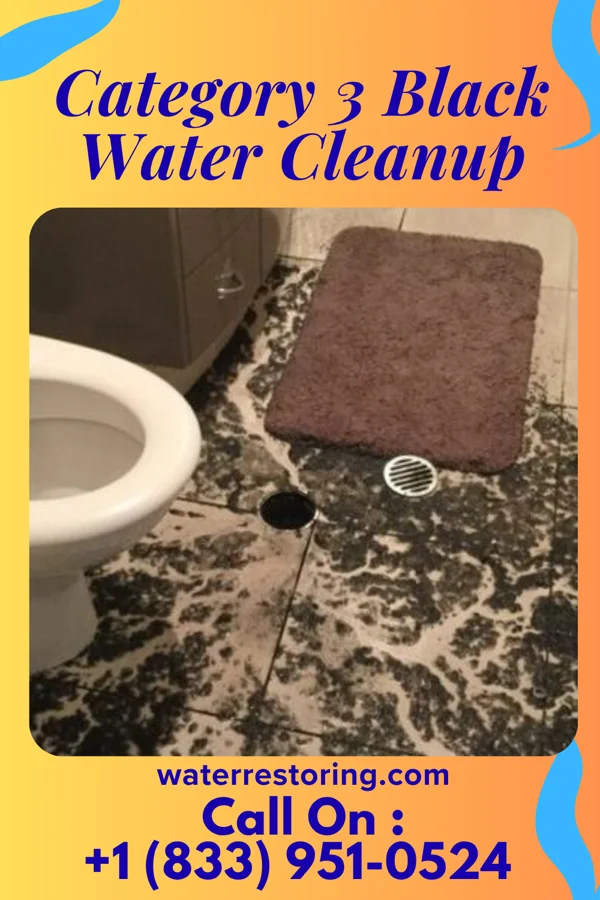 Category 3 Black Water Cleanup in Pleasantville, PA