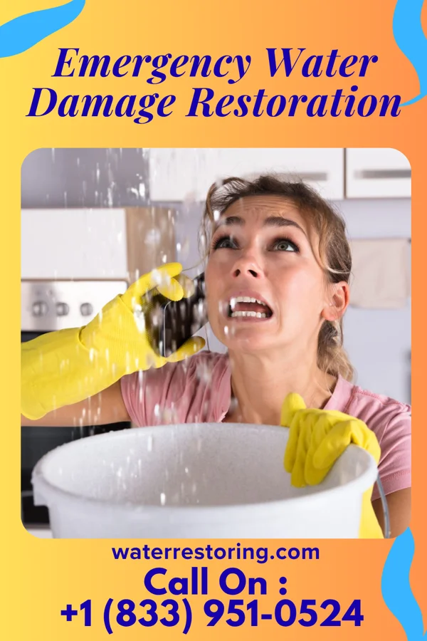 Emergency Water Damage Restoration in Pleasantville, PA