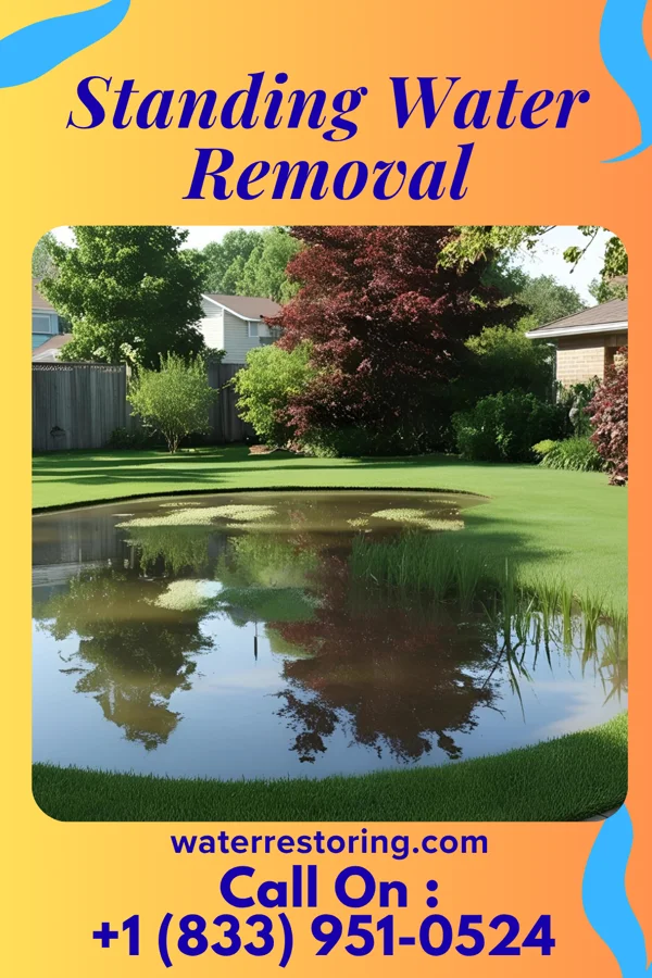 Standing Water Removal in Pleasantville, PA